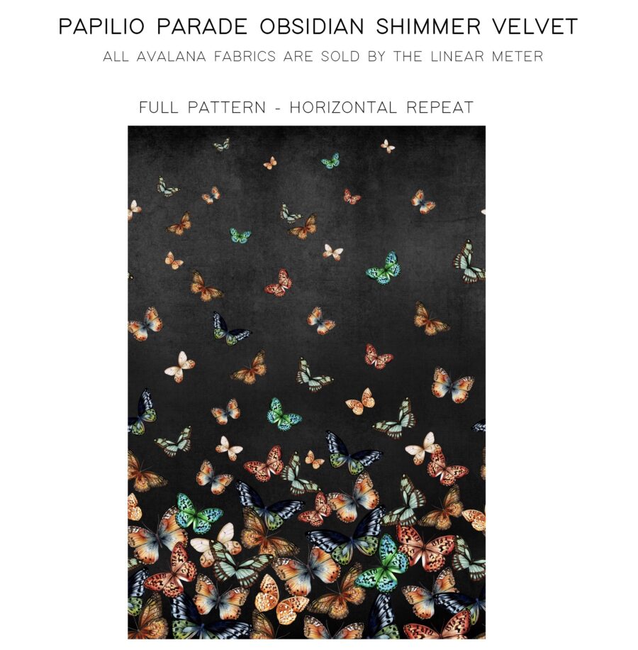 Papilio Parade Obsidian_Info graphic A