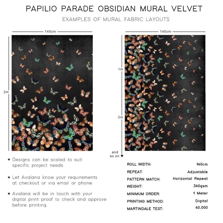 Papilio Parade Obsidian_Info graphic B